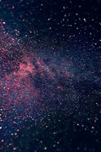 I Was Reborn Just To Be Killed?